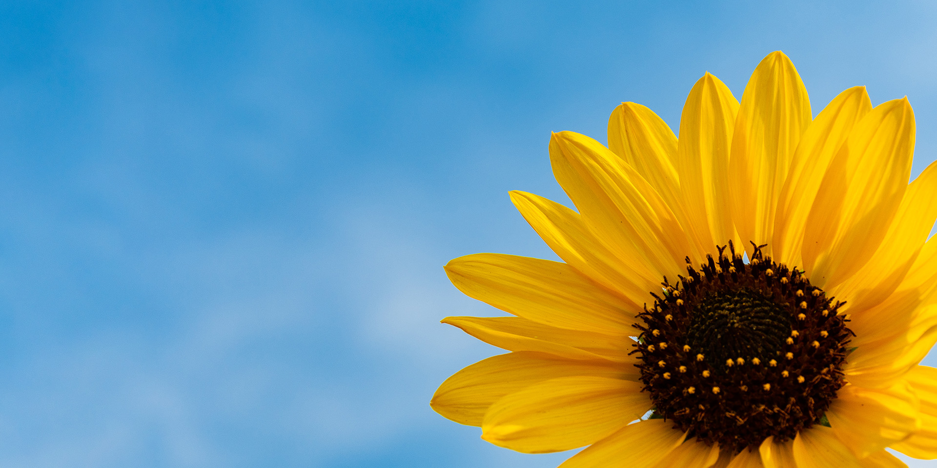 首页- Bwin必赢集团有限公司官方网站